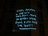 nb060.JPG